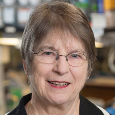 Miriam Meisler
